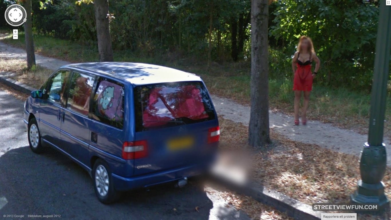 Google Street view казусы