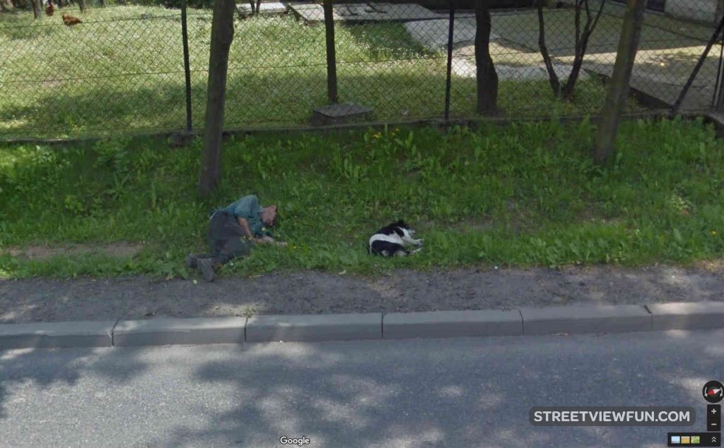 afternoon-nap-streetviewfun