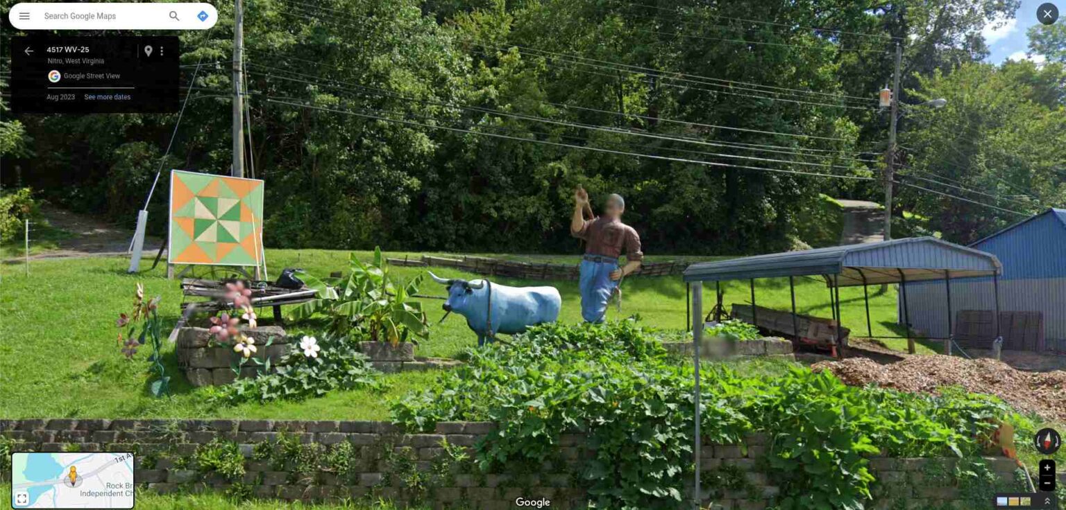 The Farmer And His Blue Ox 🐂 – Streetviewfun