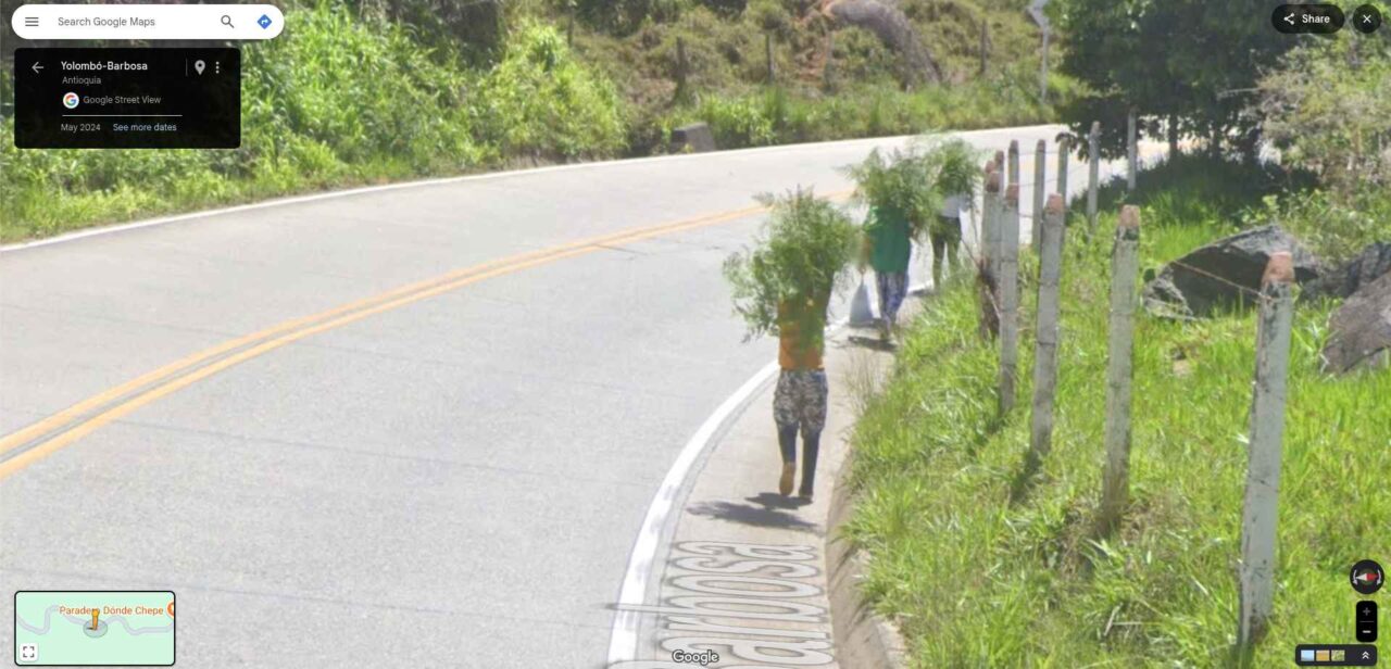 Walking bushes